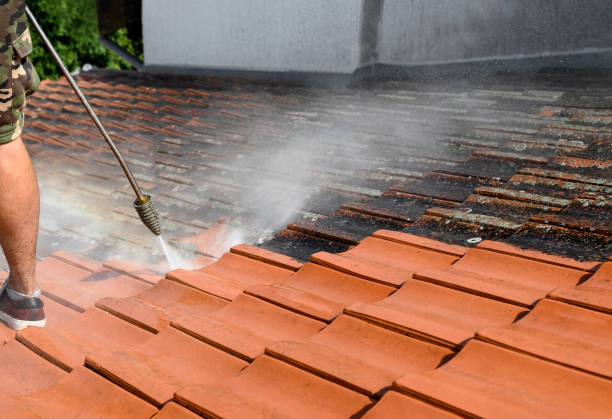 Professional Pressure Washing in Healdton, OK